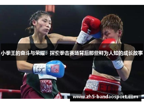 小拳王的奋斗与荣耀:探索拳击赛场背后那些鲜为人知的成长故事 小拳王的奋斗与荣耀:探索拳击赛场背后那些鲜为人知的成长故事