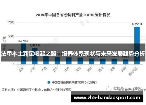 法甲本土新星崛起之路:培养体系现状与未来发展趋势分析 法甲本土新星崛起之路:培养体系现状与未来发展趋势分析