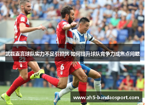 武磊直言球队实力不足引担忧 如何提升球队竞争力成焦点问题