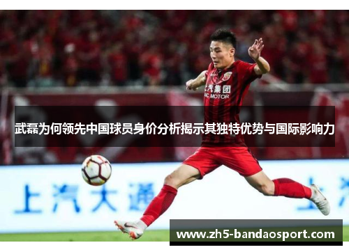 武磊为何领先中国球员身价分析揭示其独特优势与国际影响力