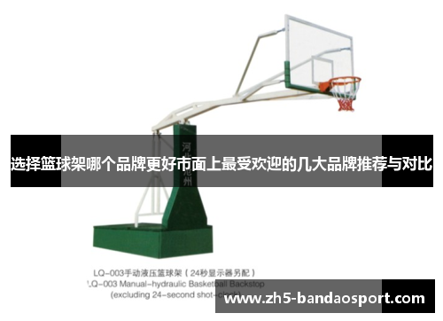 选择篮球架哪个品牌更好市面上最受欢迎的几大品牌推荐与对比