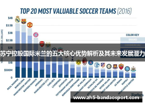 苏宁控股国际米兰的五大核心优势解析及其未来发展潜力 苏宁控股国际米兰的五大核心优势解析及其未来发展潜力