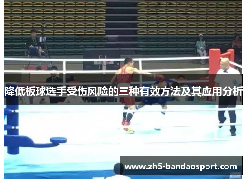 降低板球选手受伤风险的三种有效方法及其应用分析