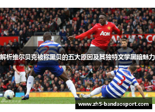 解析维尔贝克被称黑贝的五大原因及其独特文学黑暗魅力 解析维尔贝克被称黑贝的五大原因及其独特文学黑暗魅力