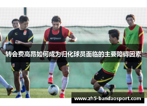 转会费高昂如何成为归化球员面临的主要障碍因素
