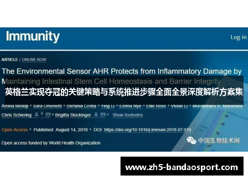 英格兰实现夺冠的关键策略与系统推进步骤全面全景深度解析方案集